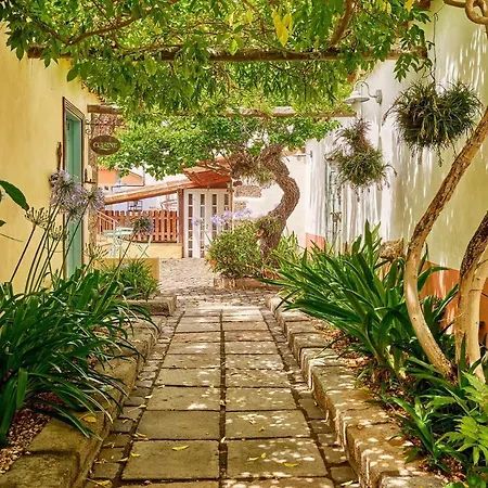 Casa rural Arce Live Canarias
